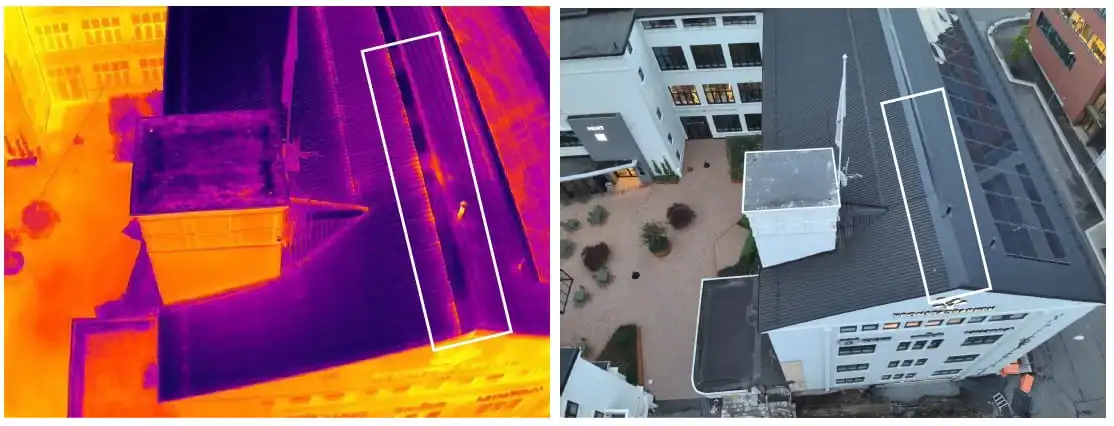 Inspection image example